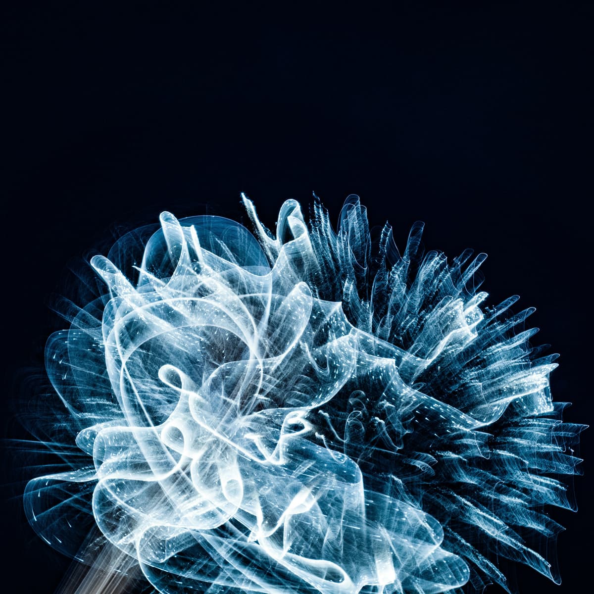 CTO Operating Model at Series B Companies: Role Clarity & Execution Focus