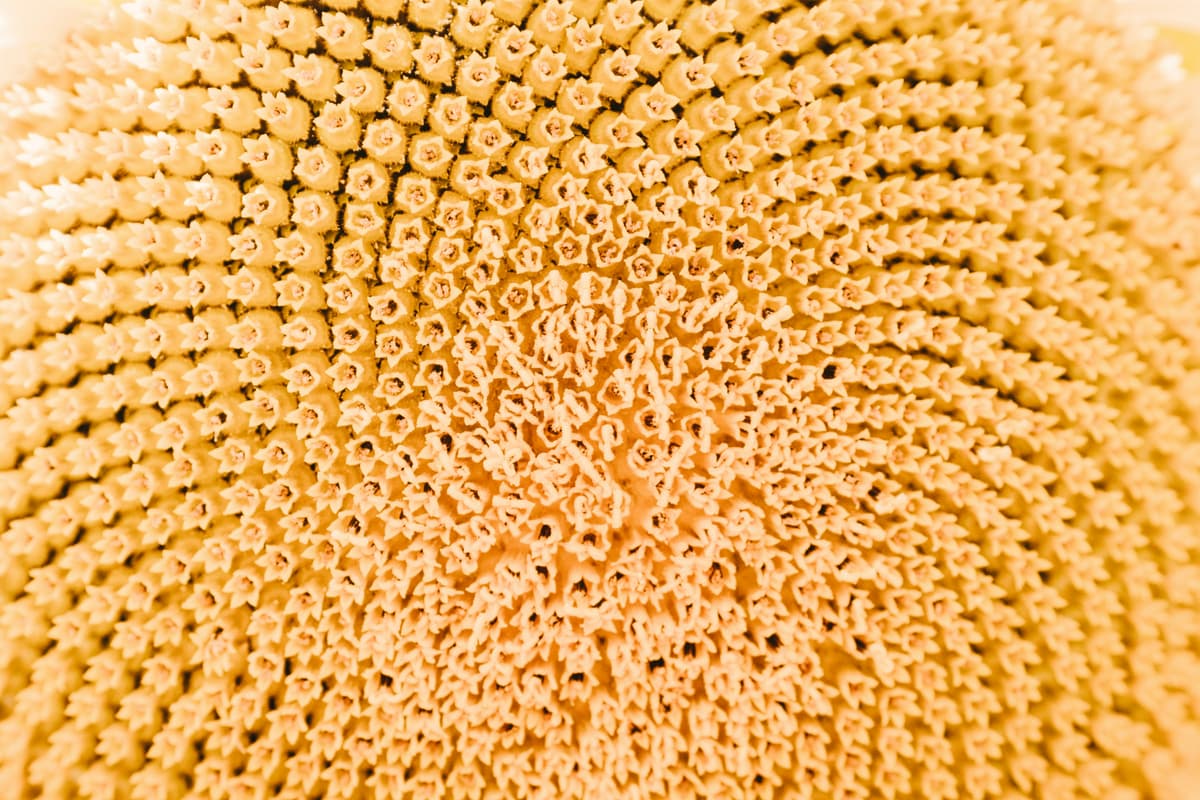 CTO Operating Model at Series C Companies: Execution Clarity for Growth