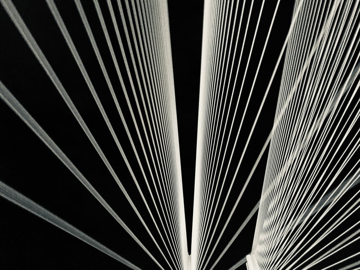 CTO Role at 20–50 Employees: Tactical Clarity and Execution Models